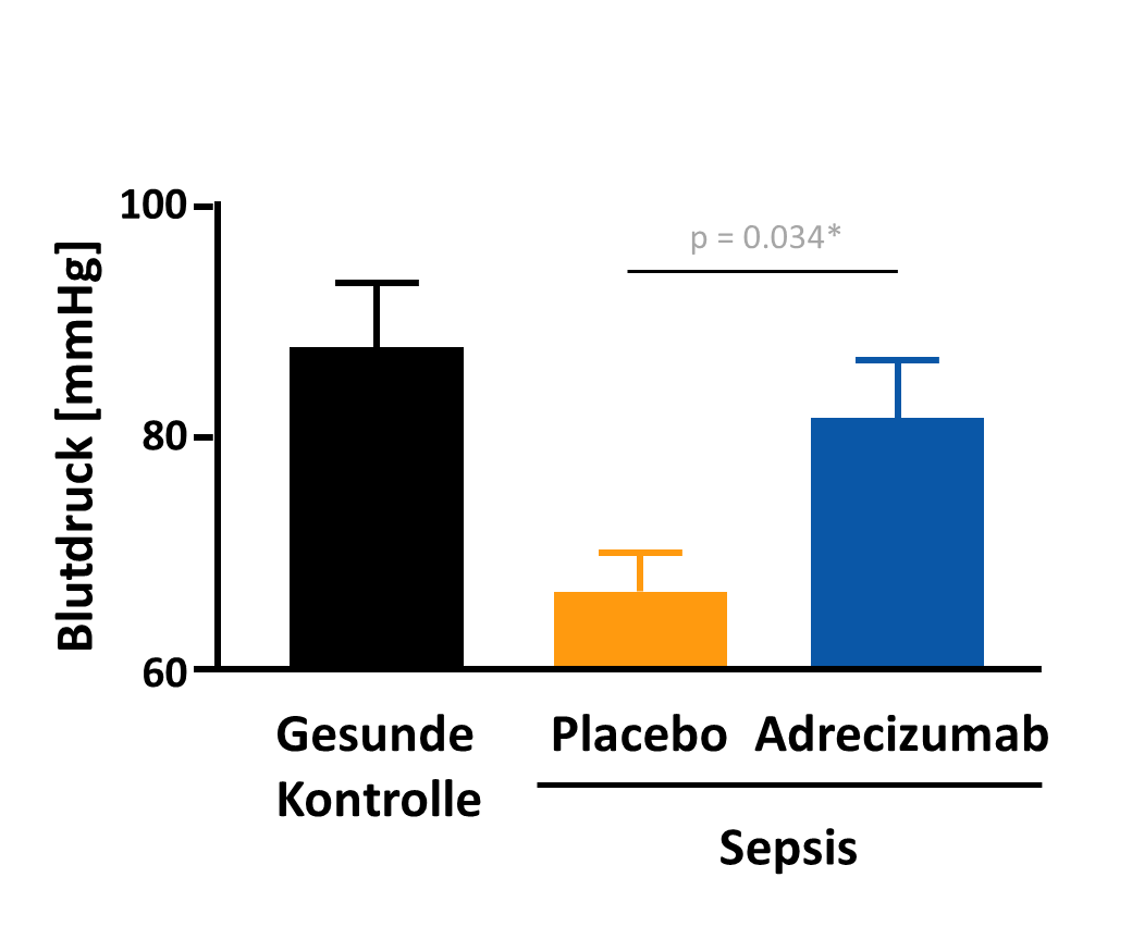 Blutdruck von gesunden Mäusen in mmHg (Gesunde Kontrolle) und von Mäusen nach Sepsis-Induktion (CLP-Modell), jeweils nach Placebo- und Adrecizumab-Gabe.