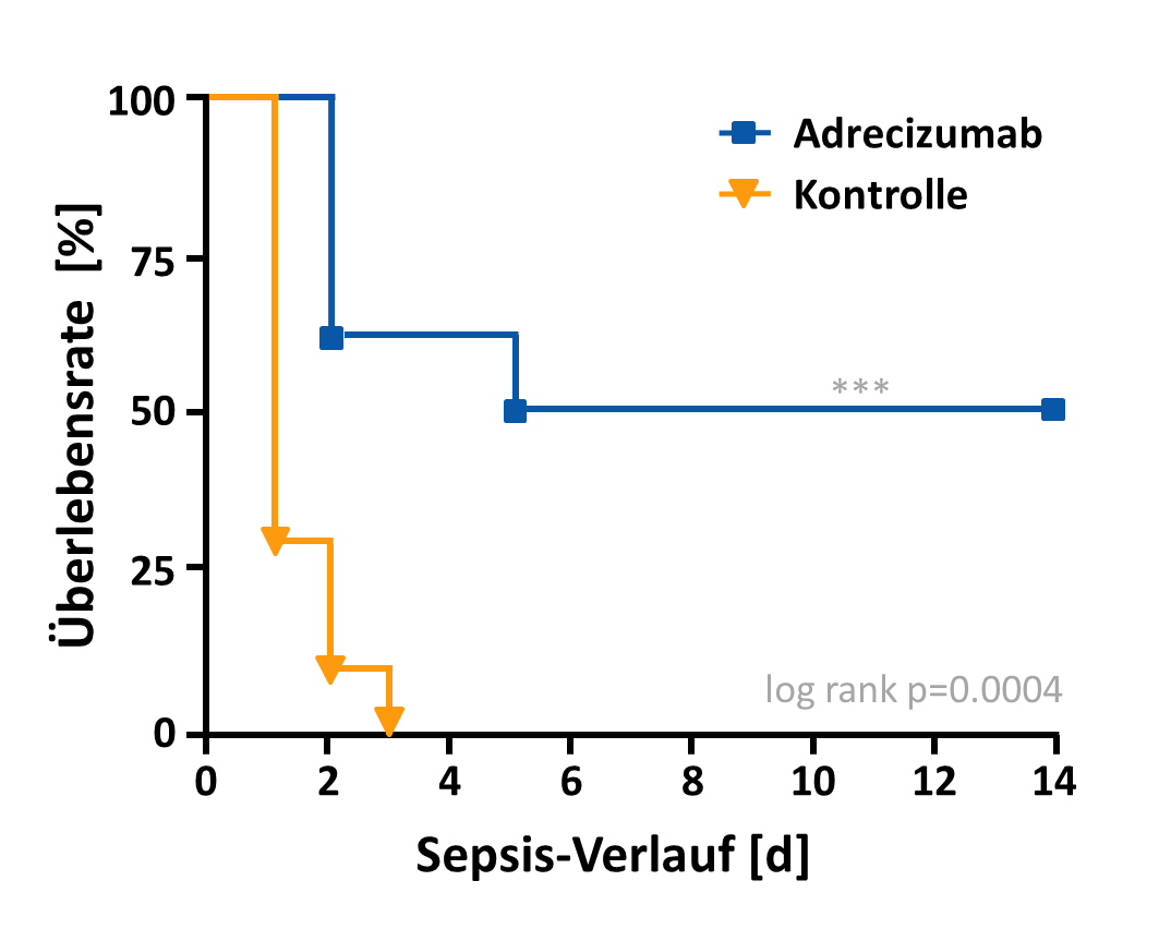 Überlebensrate von Mäusen nach Sepsis-Induktion (CLP-Modell) mit und ohne Adrecizumab-Gabe. Siehe Struck et al. Intensive Care Medicine Experimental 2013, 1:3. 